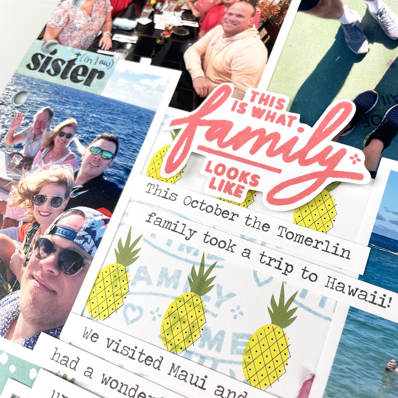 Family Story - 4x6 Clear Stamp Set
