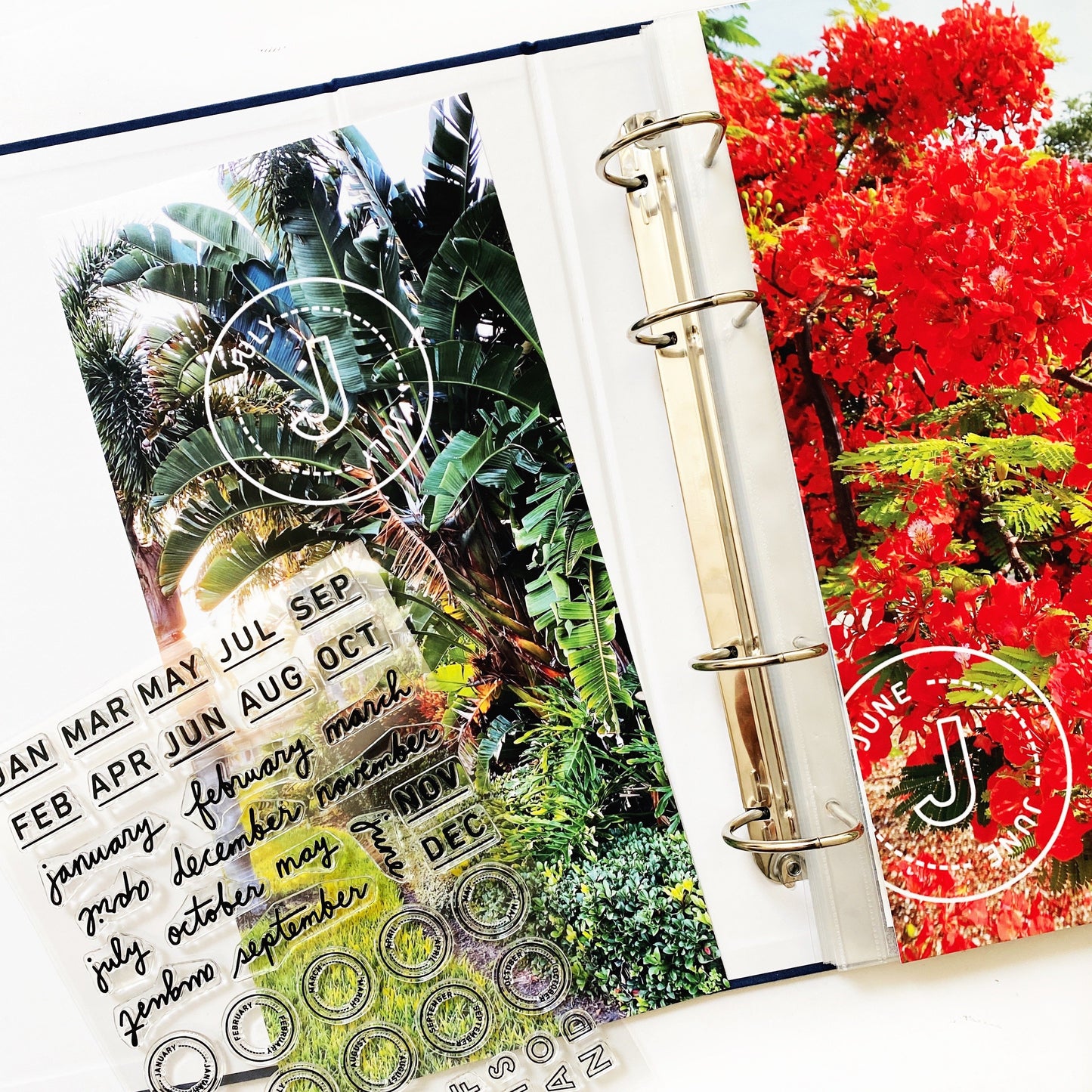 Month By Month - 6x8 Clear Stamp Set